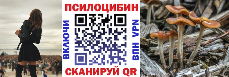 мега ссылка Кирс Галлюциногенные грибы мицелий