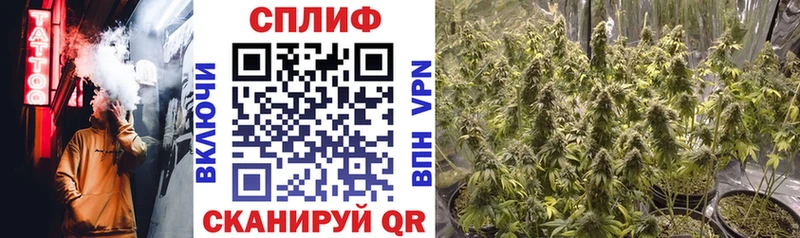 Марихуана MAZAR  цена   MEGA зеркало  Кирс 